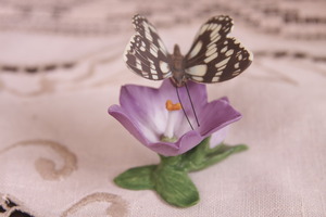 Franklin 민트 세계의 나비-말블 화이트 Franklin Mint Butterflies of the World - Marbled White 1985