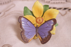도자기 프랜클린 민트 나비 Porcelain Franklin Mint Butterflies of the World - Australian Beak 1985 