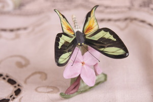 도자기 프랜클린 민트 나비 Porcelain Franklin Mint Butterflies of the World -  1985 