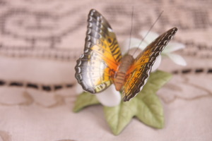 도자기 프랜클린 민트 세계의 나비 Porcelain Franklin Mint Butterflies of the World 