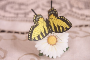 도자기 프랜클린 민트 세계의 나비 Porcelain Franklin Mint Butterflies of the World - 1985 