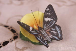 Franklin 민트 세계의 나비- Franklin Mint Butterflies of the World 