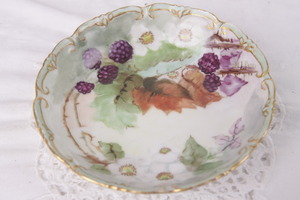 PH Leonard 비엔나 핸드페인트 베리 볼 PH Leonard Vienna Hand Painted Berry Bowl dated 1906