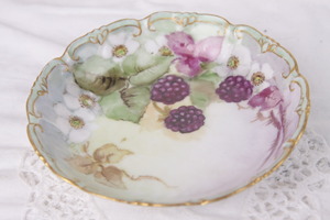 PH Leonard 비엔나 핸드페인트 베리 볼 &quot;데미지&quot; PH Leonard Vienna Hand Painted Berry Bowl dated 1906 - AS IS ONLY - Crack
