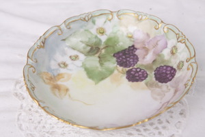 PH Leonard 비엔나 핸드페인트 베리 볼 &quot;데미지&quot; PH Leonard Vienna Hand Painted Berry Bowl dated 1906 - AS IS ONLY - Crack