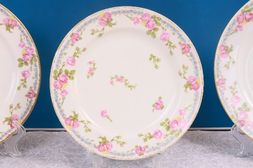 Pouyat 리모지 로즈 플레이트 -데미지- (칩) Pouyat Limoges 21.4 cm Roses Plate circa 1900