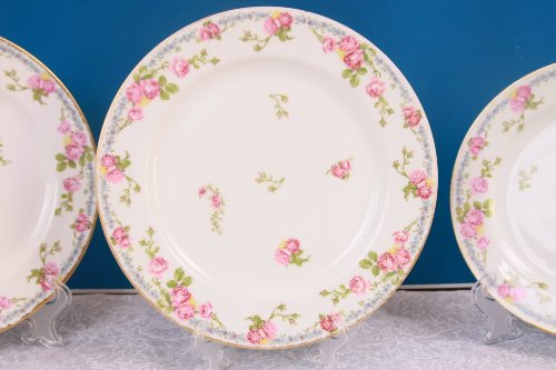Pouyat 리모지 로즈 디너 플레이트 -데미지- (칩) Pouyat Limoges 24.8 cm Roses Dinner Plate circa 1900
