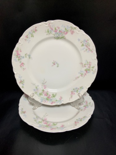 하빌랜드 리모지 디너 플레이트 Haviland Limoges Dinner Plate circa 1894-1931