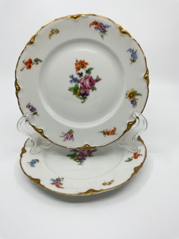Warwick 도자기 프로럴 플레이트 Warwick Porcelain Floral Plate circa 1920