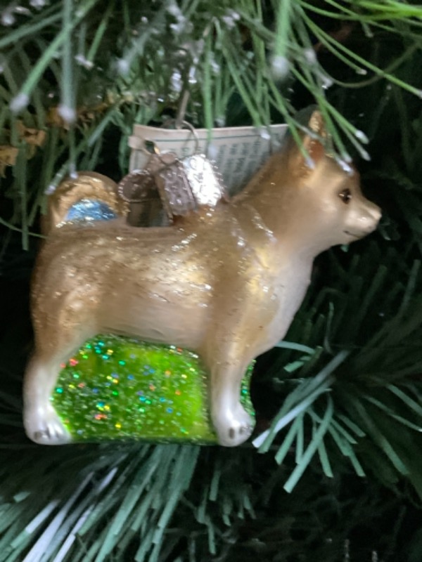 올드 월드 크리스마스 핸드 블로운 / 핸드페인트 &quot;Chihuahua&quot; 크리스마스 트리 장식 2008 Old World Christmas Hand Blown / Painted &quot;Chihuahua&quot; Christmas Tree Ornament